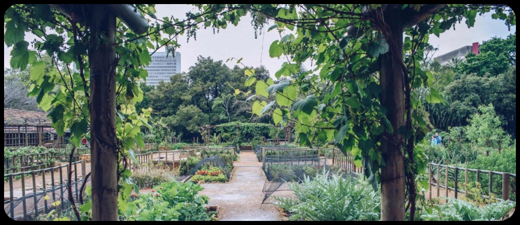 Company Garden Mussoorie