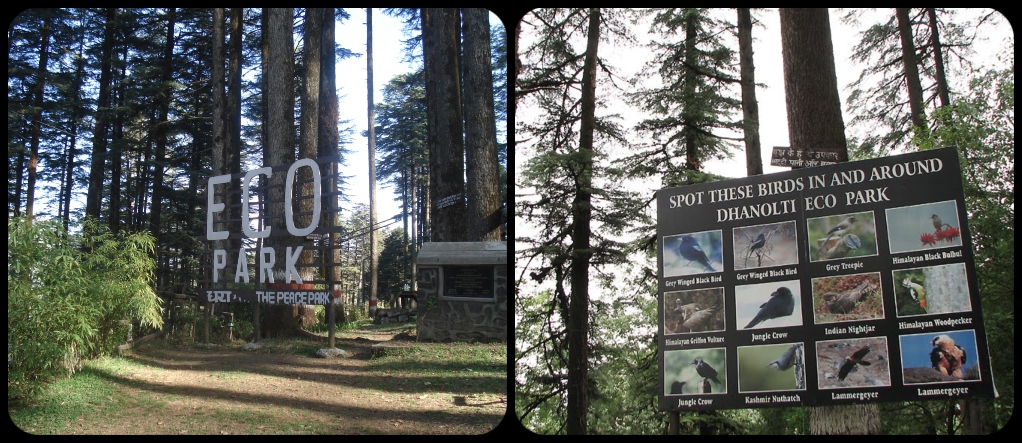 Eco park Mussoorie