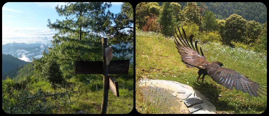 Janarkhet wildlife reserve 