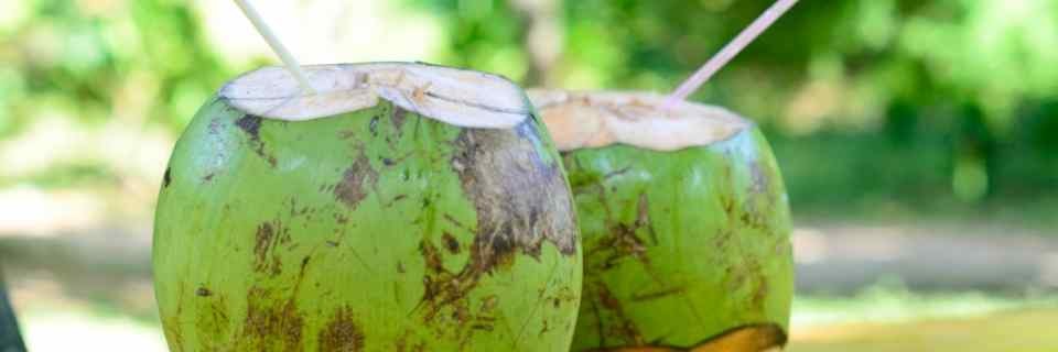 coconut_water