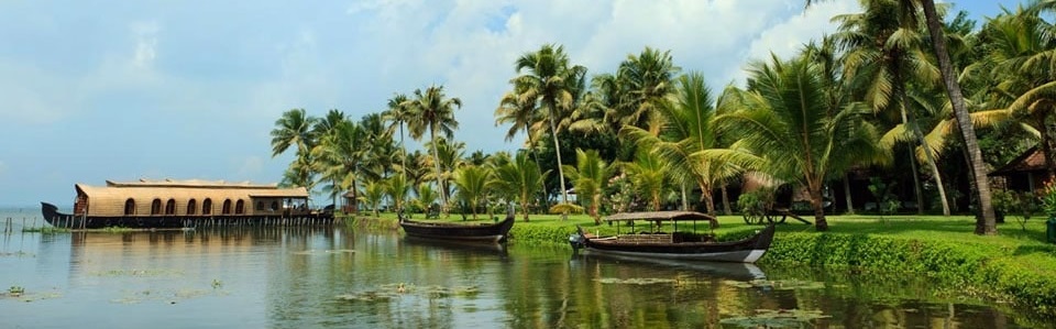 kerela_scenary