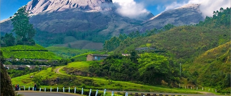 Munnar Hills Kerela