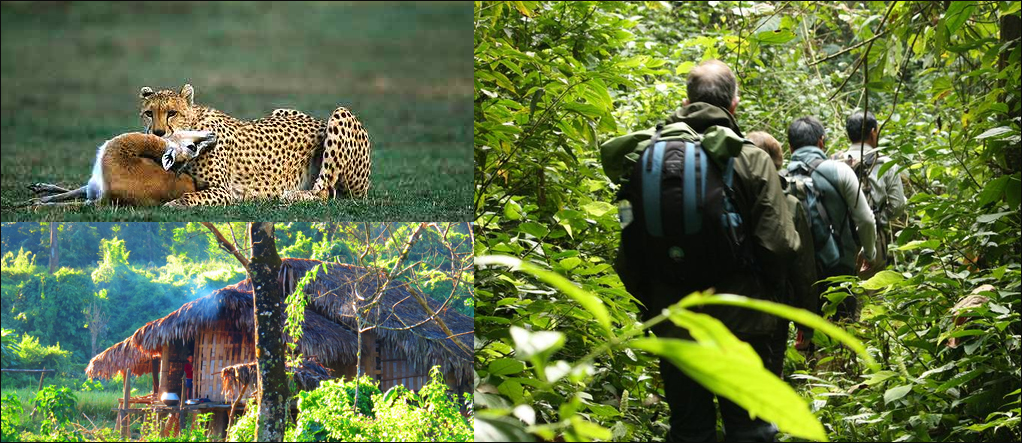 Namdapha National Park 