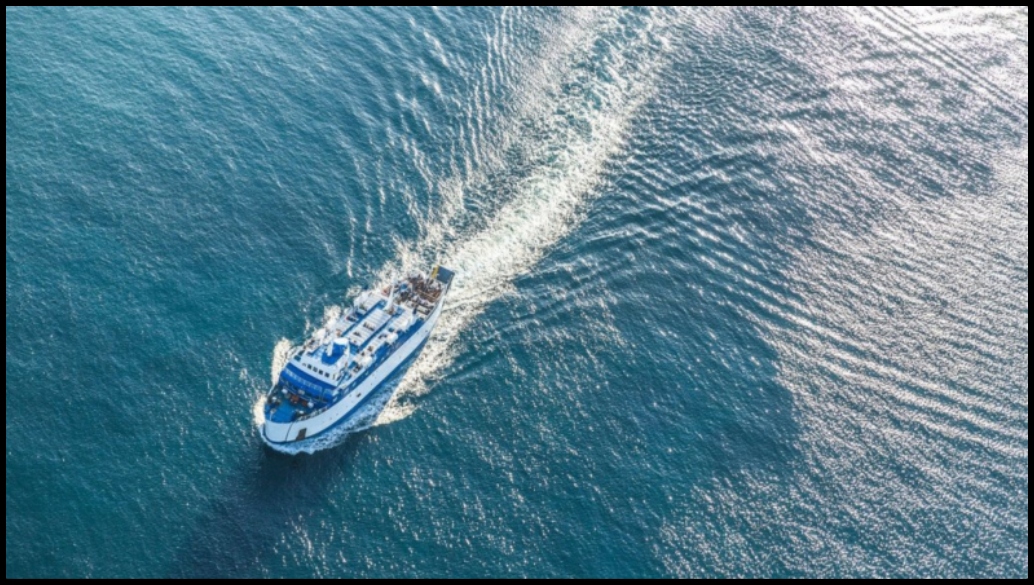 Cruise India
