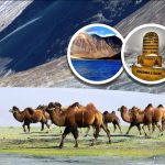 Interesting Facts About India! India Fact File.
