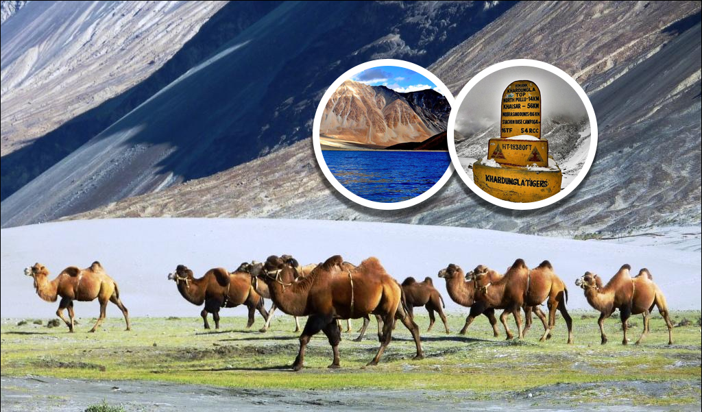 Interesting Facts About India! India Fact File.
