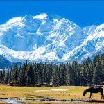What I Wish Everyone Knew About These 7 Eco-Friendly Destinations