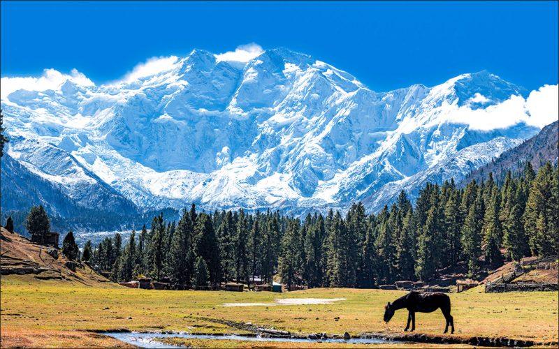 What I Wish Everyone Knew About These 7 Eco-Friendly Destinations