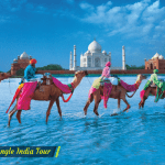 Things to Know About Golden Triangle India Tour