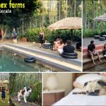 Travel God’s own city : Kerela ! Best vacation in Kerala!