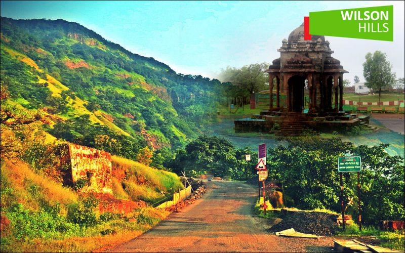 Discovering 15 Best Hill Stations in South India for a Laid-Back Vacation