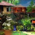 7 Best Tree Houses in India to Relive Childhood Days -Tripsonwheel