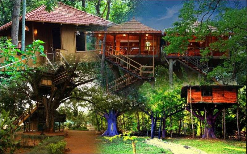 7 Best Tree Houses in India to Relive Childhood Days -Tripsonwheel