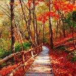 10 Awesome Places to Visit in October for Globetrotters