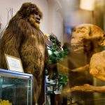 Strange and Crazy Museums across the World That Will Spin Your Head