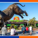 San Diego Zoo California USA - Tripsonwheel