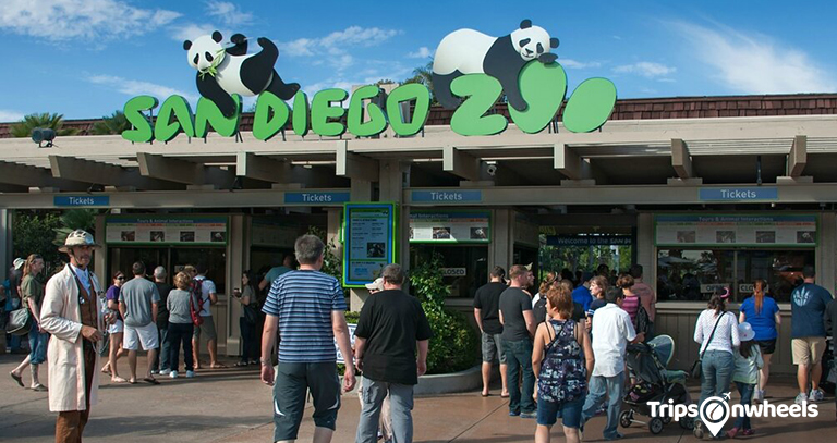 People in San Diego Zoo - Tripsonwheel