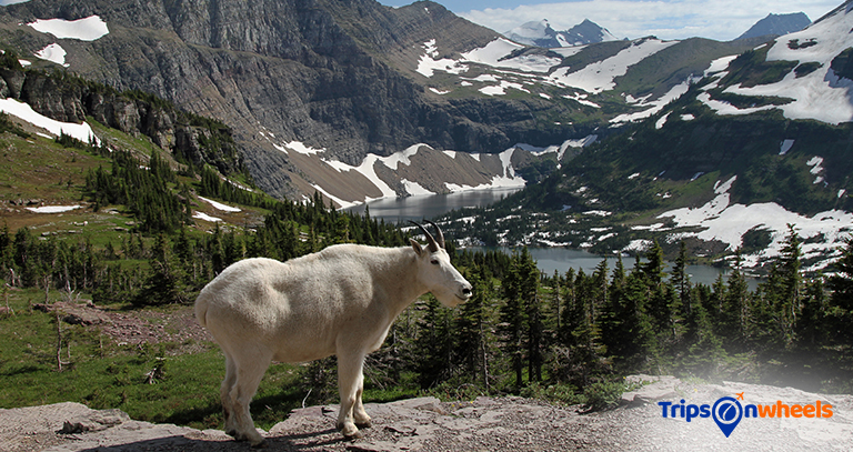 Glacier National Park - Tripsonwheel