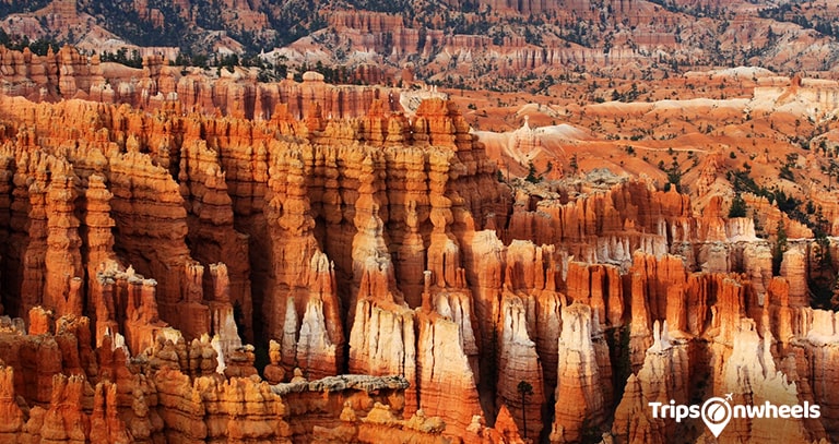 Soaking in the Beauty of Sedona, Arizona - Tripsonwheel