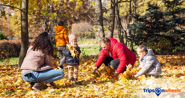 Outdoor Spots In The US For Families - Tripsonwheel