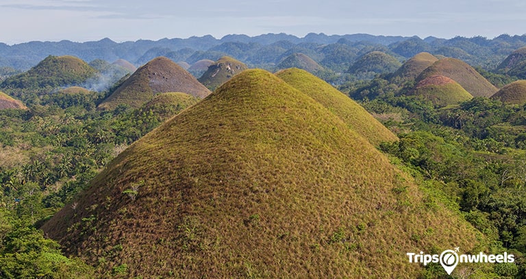 Chocolate Hills of Bohol Island, the Philippines - Tripsonwheel