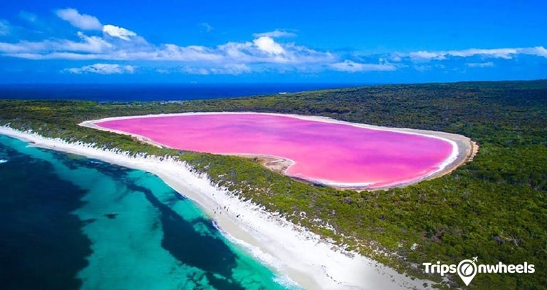Lake Hillier, Western Australia - Tripsonwheel