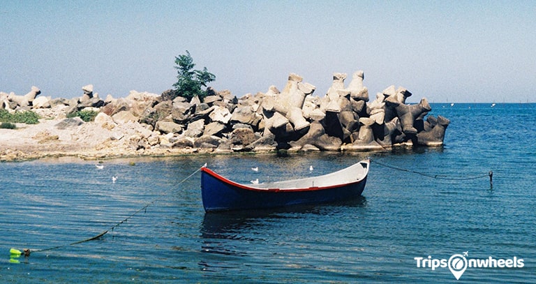 Socotra Island, Yemen - Tripsonwheel