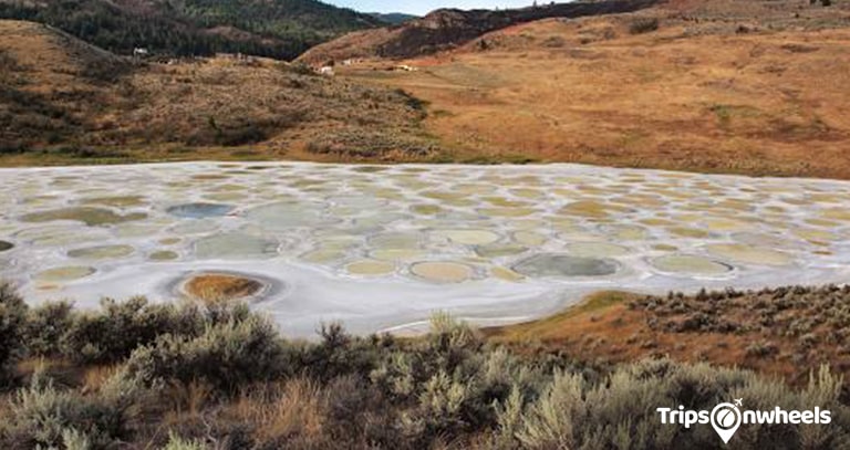 Spotted Lake, British Columbia - Tripsonwheel